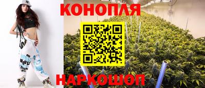 прущие грибы Краснокаменск