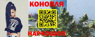 прущие грибы Краснокаменск