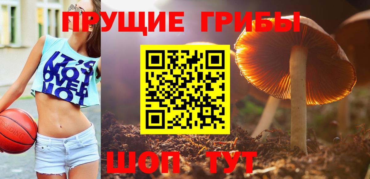 Псилоцибиновые грибы ЛСД  Галлюциногенные грибы ЛСД  Вход с VPN  как найти наркотики  Канаш 
